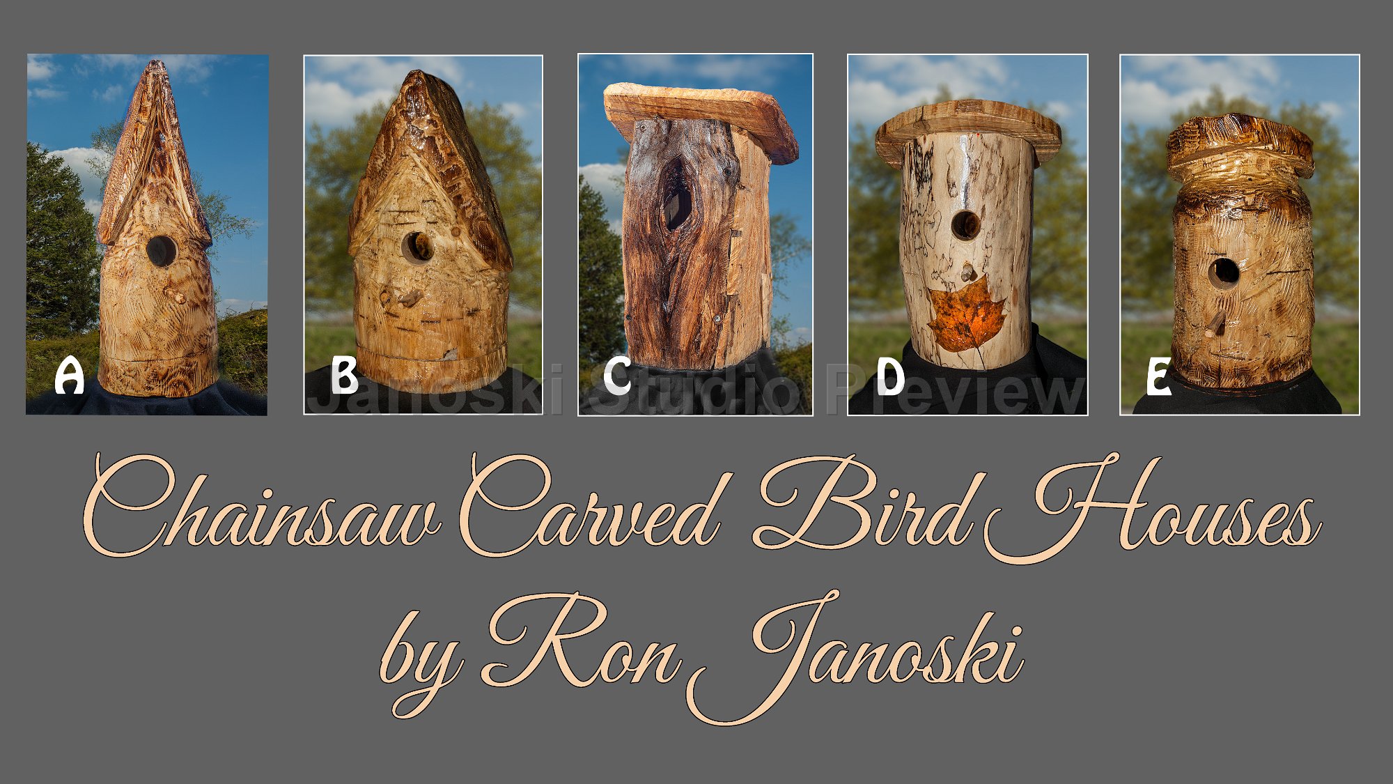 Chainsaw Carved Bird Houses 2