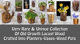 Black Locust  Planters/Vases