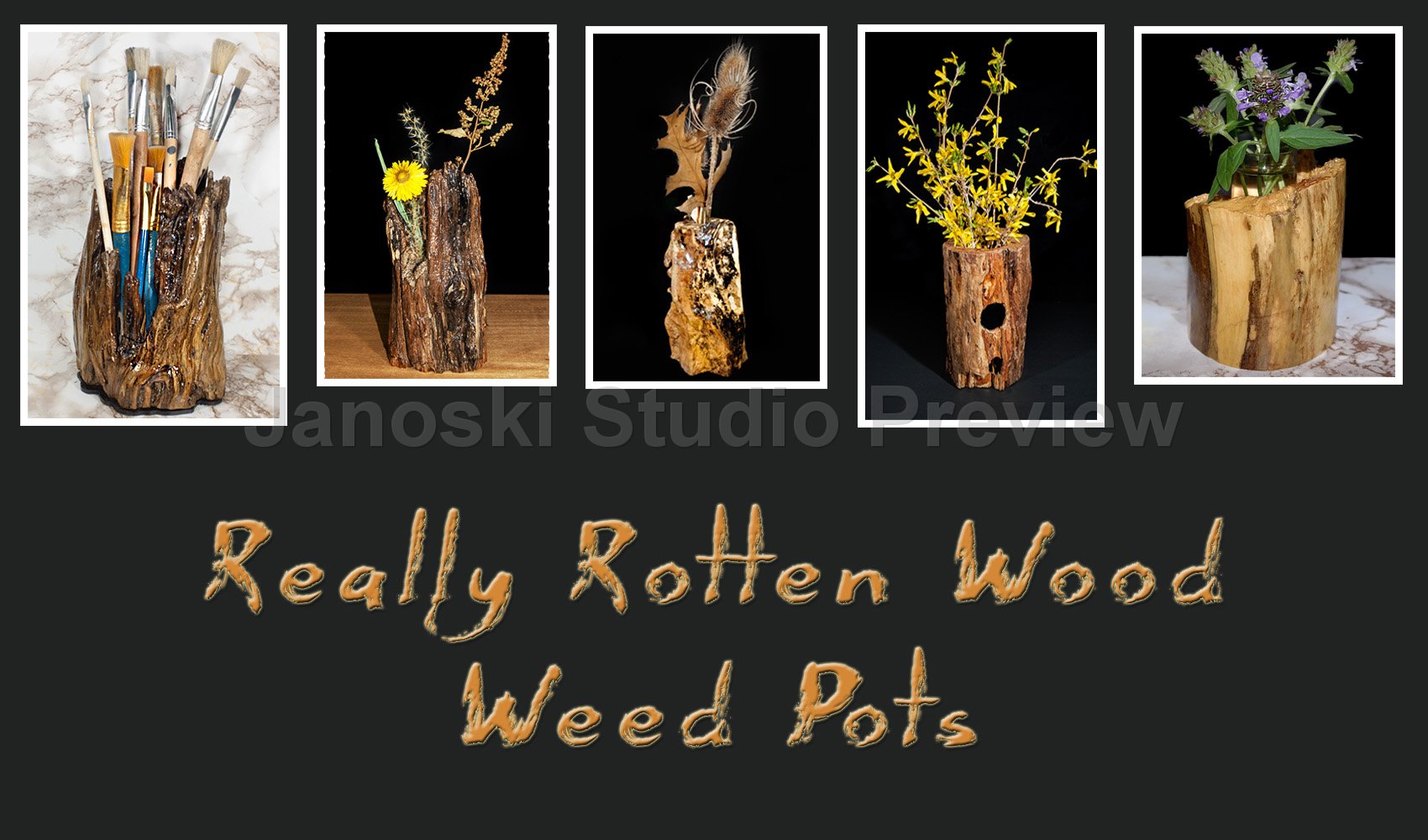 Really Rotten Wood Examples