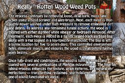 About Rotten Wood P2