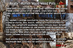 About Rotten Wood P1