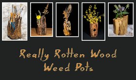 Really Rotten Wood Pots