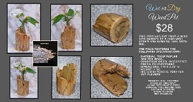 SAM 6748S (1)